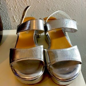 Silver wedges